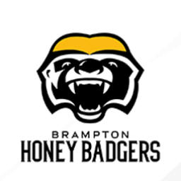 布兰顿蜜獾